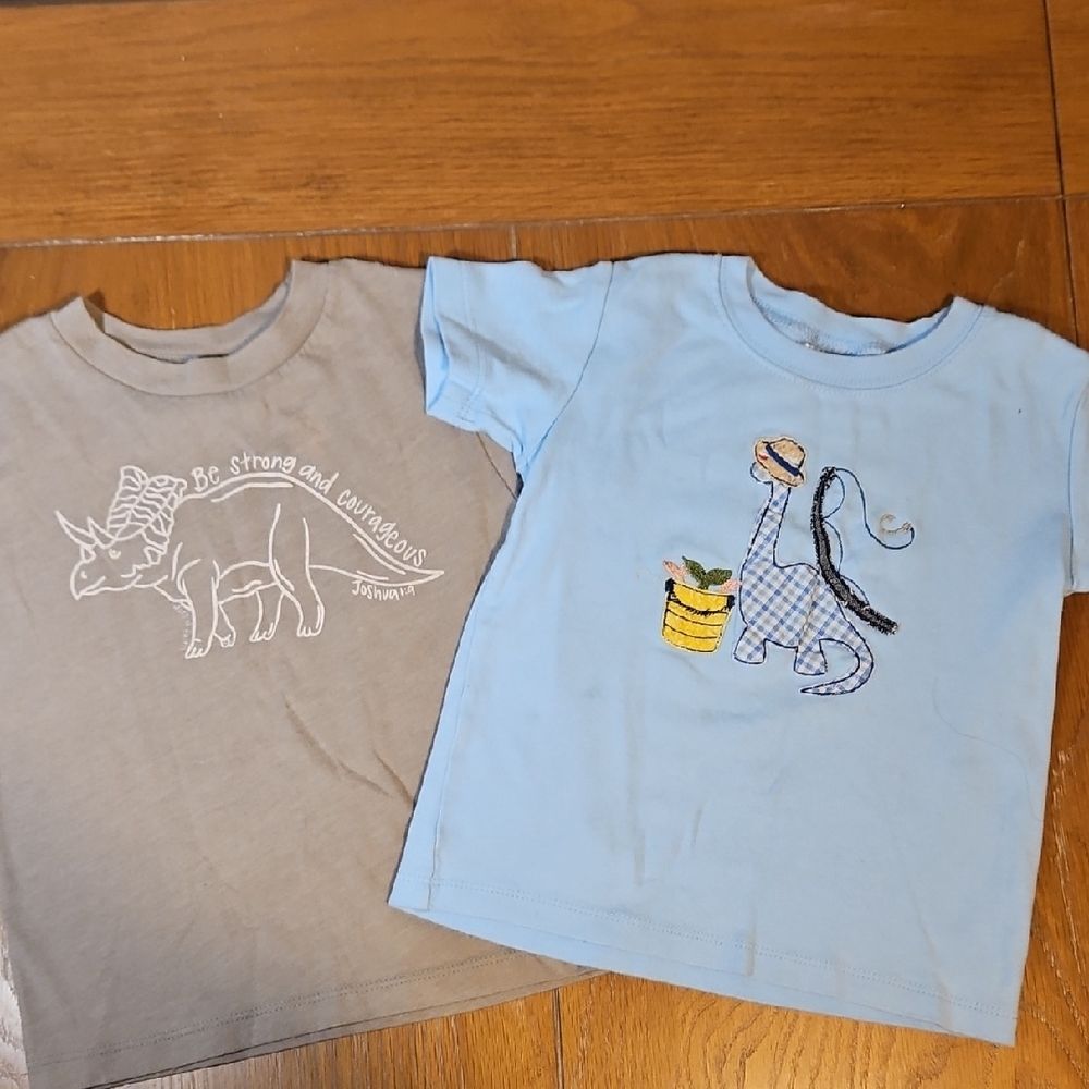 Kids Dinosaur Graphic T-Shirts - Blue and Brown